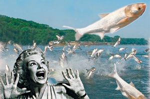 invasion-of-flying-fish1