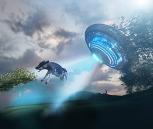 Cow abducted by a UFO on the farm pulling of the alien spacecraft render 3d