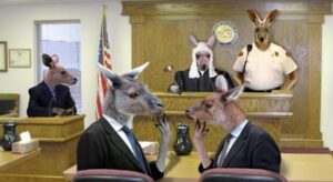 kangaroo-court-2